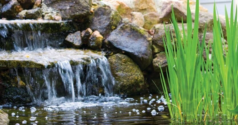 Tips Membuat Kolam Taman dengan Air Terjun  PropertyInside.id