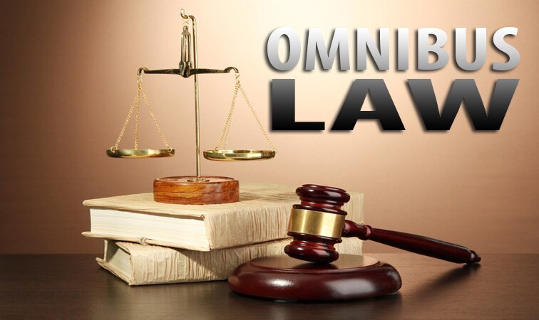 omnibus law