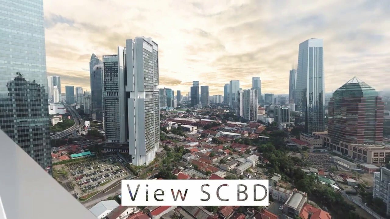 view scbd
