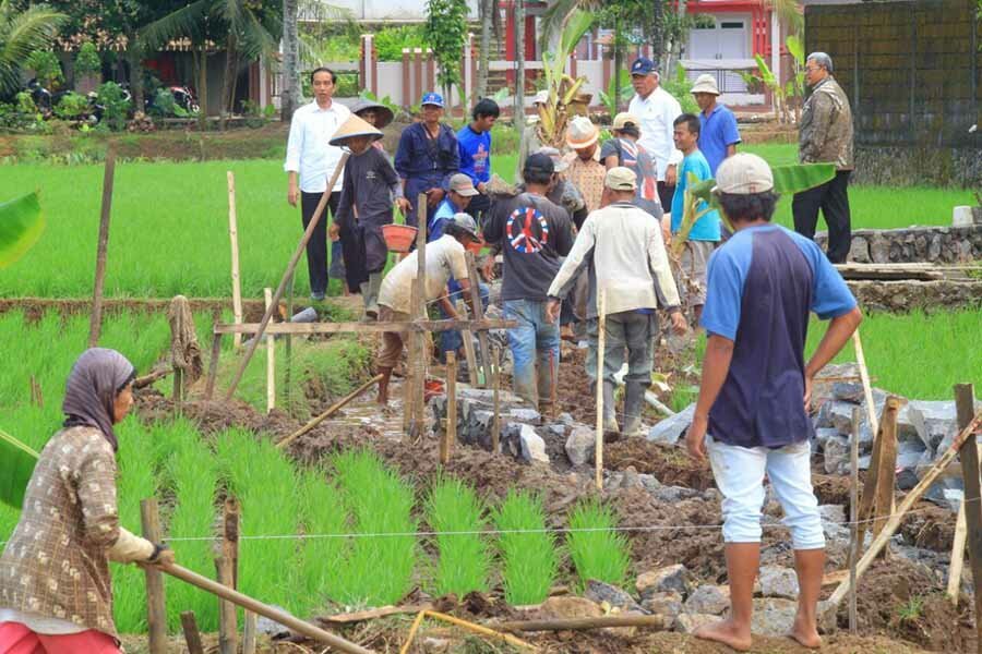 Programpadat karya tunai jokowi