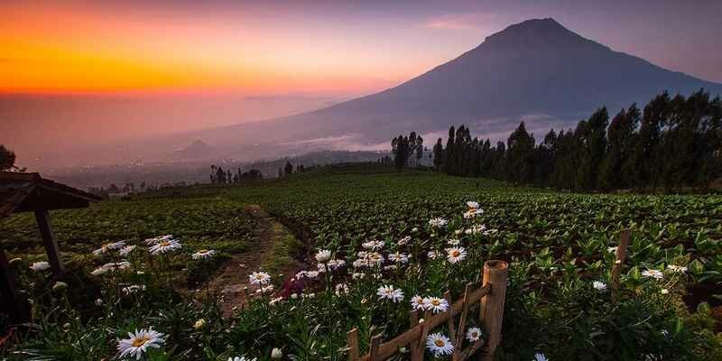 ilustrasi tempat wisata